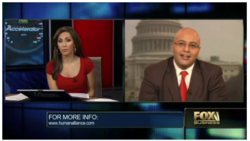 Joe Shaheen on Fox News LIVE